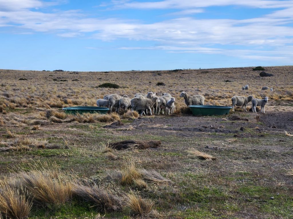 Ennos bomba de agua smart