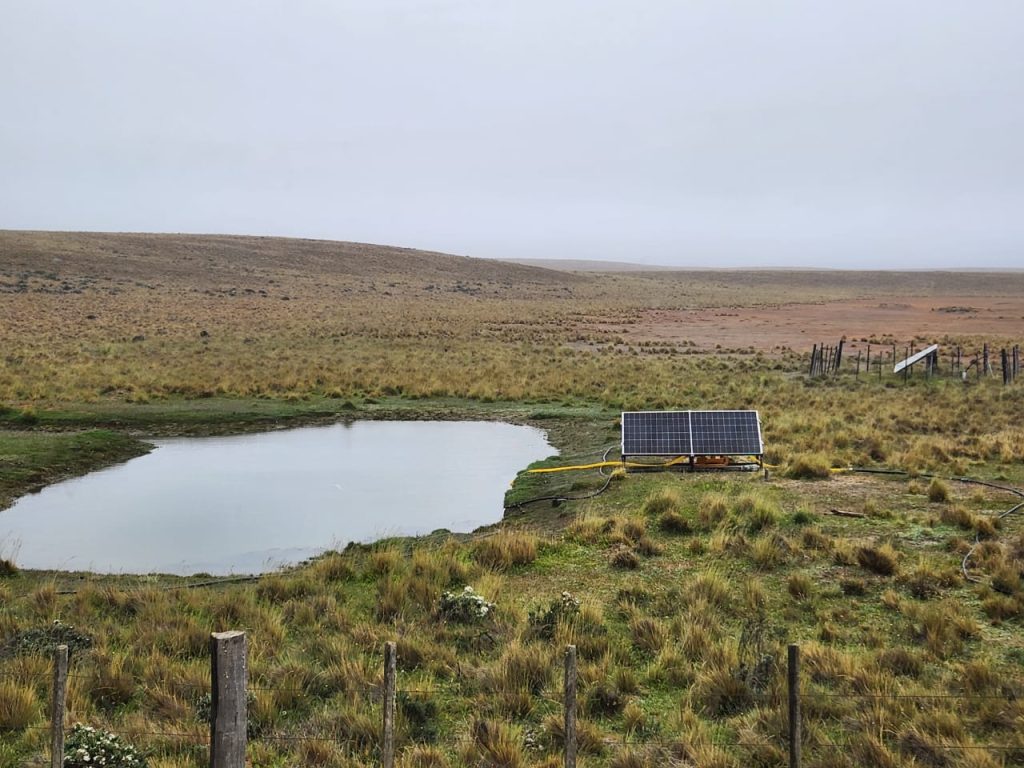 Ennos smart sunlight